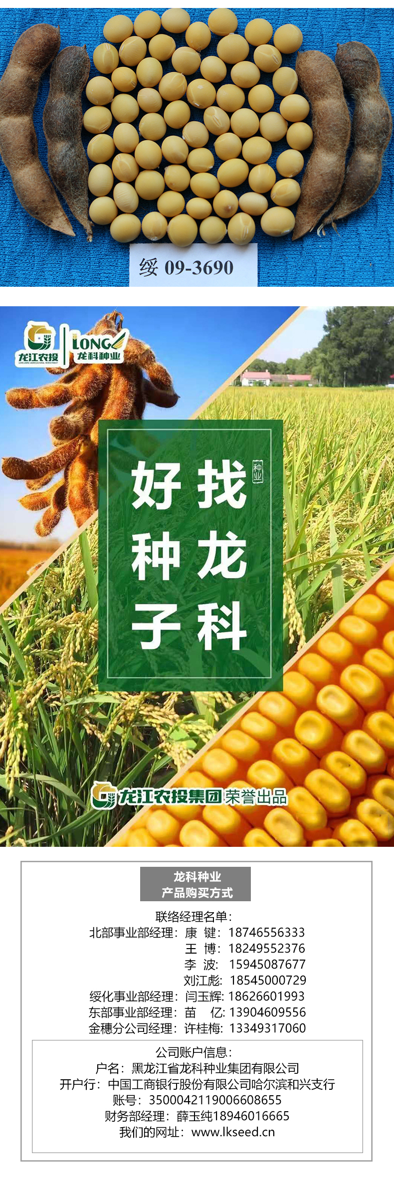 1590126755763026.jpg 綏農(nóng)42產(chǎn)品詳情_03.jpg